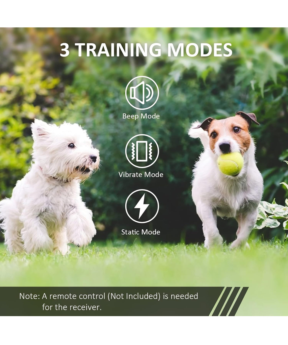 Dog Care Shock Collar Receiver for Medium Large Dog, Long Remote Range (Remote not included)