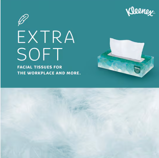 Kleenex 2 Ply Facial Tissue, 100 Sheets