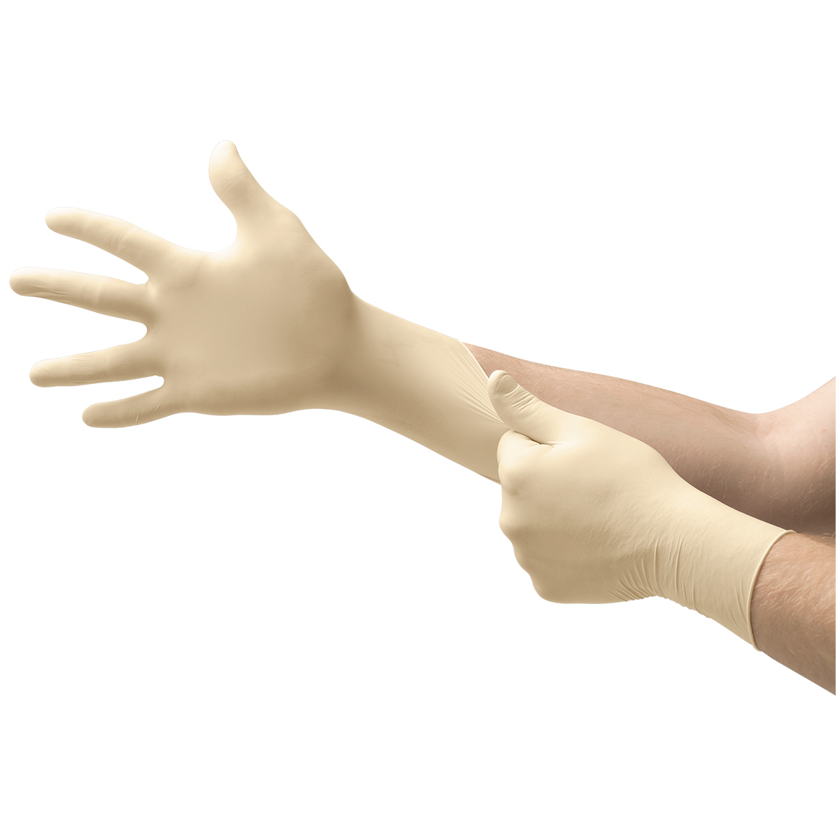 D1832 Disposable Gloves Rubber Latex XS PK100 MPN:EV-2050-XS