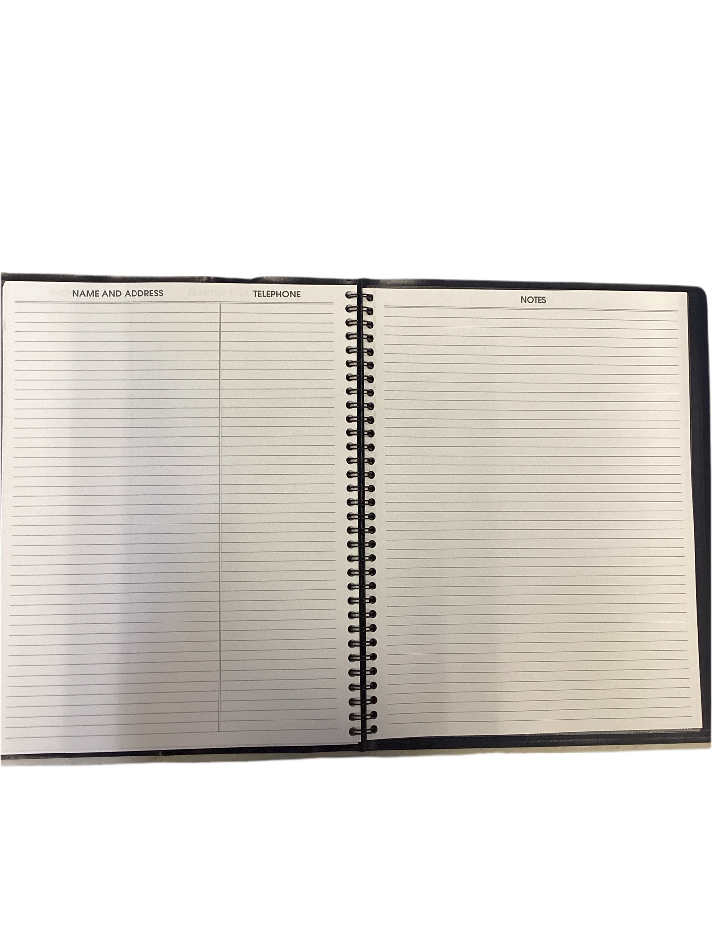 AAG at-a-GLANCE 2025 weekly appointment book planner