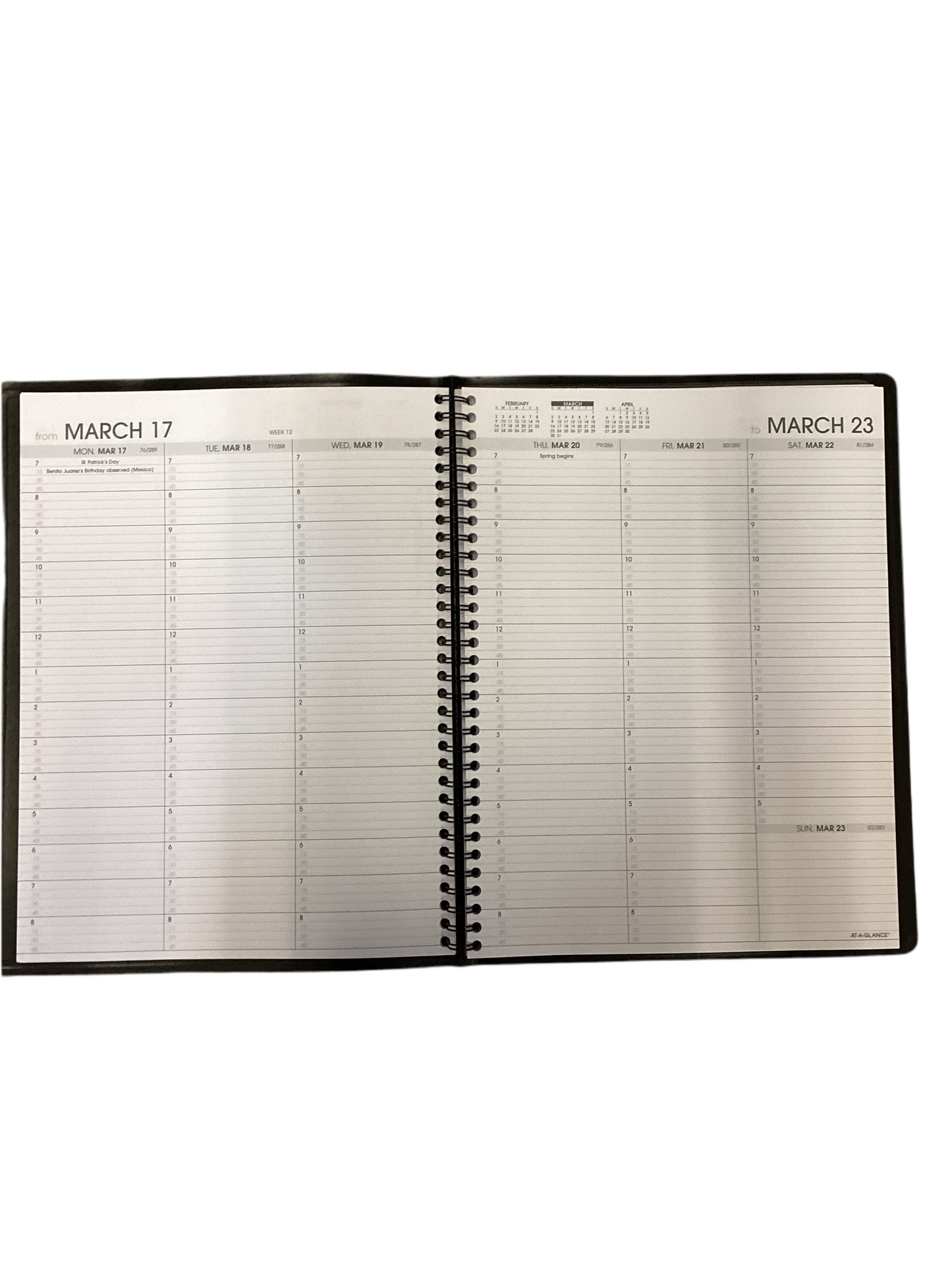 AAG at-a-Glance 2025 Monthly Planner, 9x11