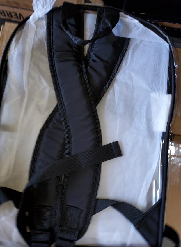 Eastsport 11.5 in. X 5 in. X 16.5 in. Clear with Color Trim Backpack - Clear/Black