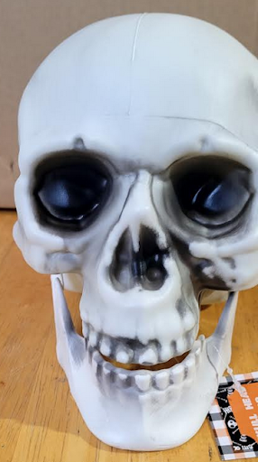 PLASTIC SKULL HEAD DECOR 8.6X6.3X6.7