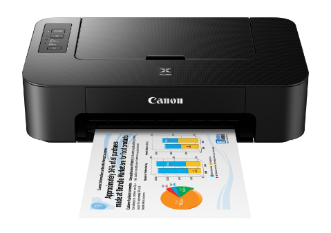 Canon Inkjet Printer PIXMA TS202