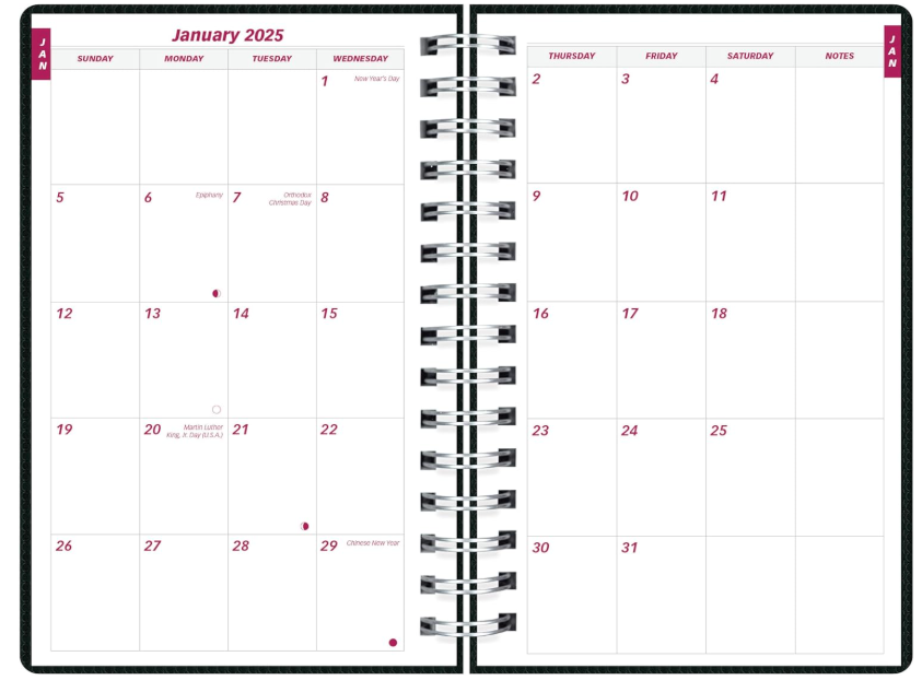 Brownline® 2025 DuraFlex Daily/Monthly Planner, Appointment Book, 12 Months, January to December, Twin-Wire Binding, 8" x 5", Black (CB634V.BLK-25)